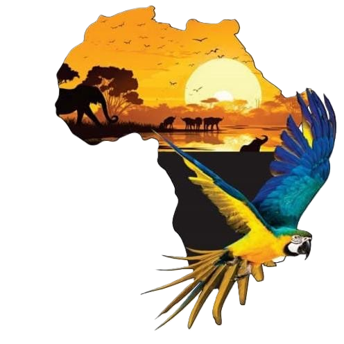 Damon Quest Tours & Travel